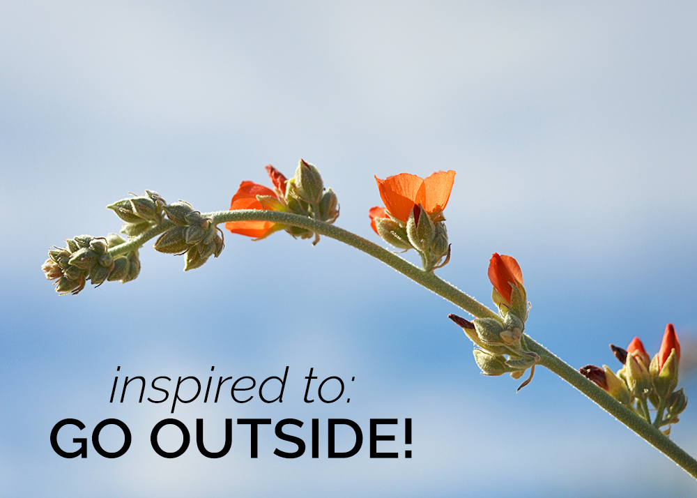 Inspired to: go outside!