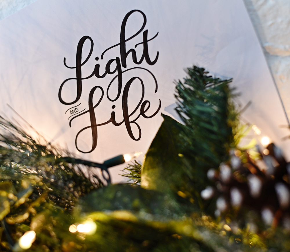 My Mantra for December: LIGHT and LIFE