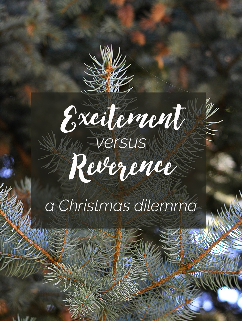 Excitement vs Reverence: A Christmas Dilemma