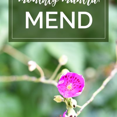 My Mantra for August: MEND